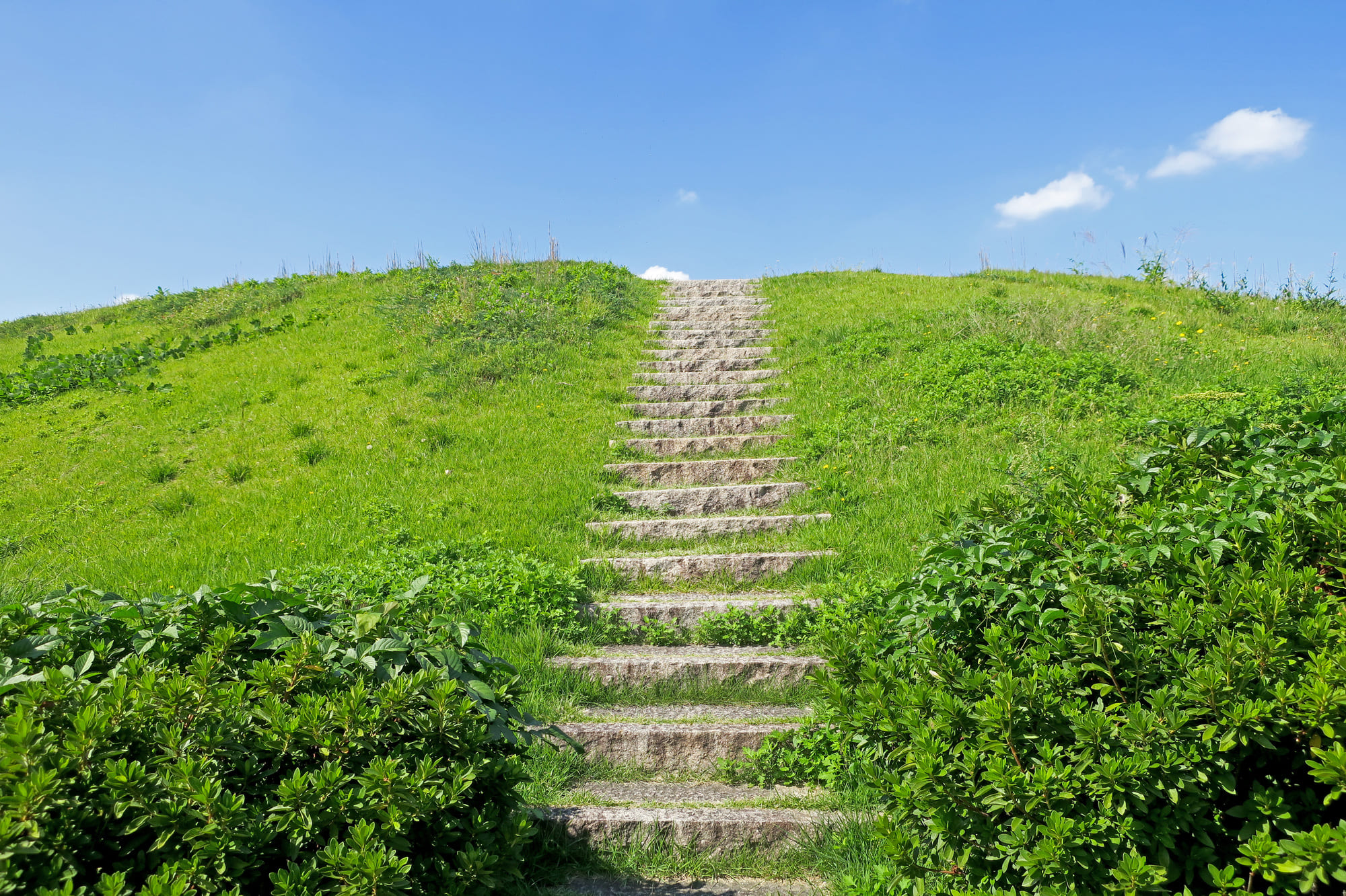 大阪府藤井寺駅は住みやすい？