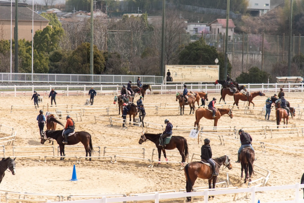 乗馬クラブクレイン大阪