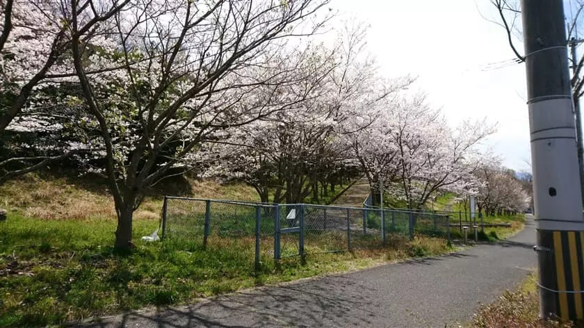 大阪府南河内郡河南町は住みやすい？